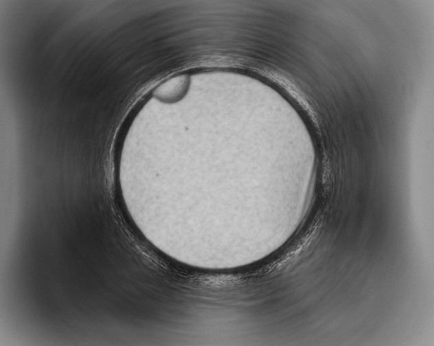 X0000096130837200802151312