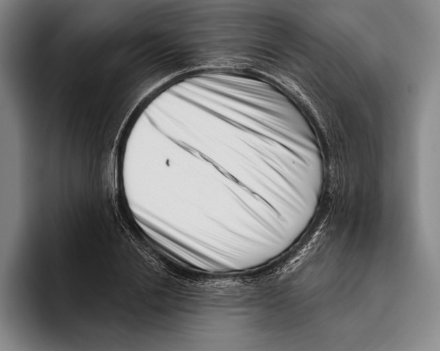 X0000096130838200802151312