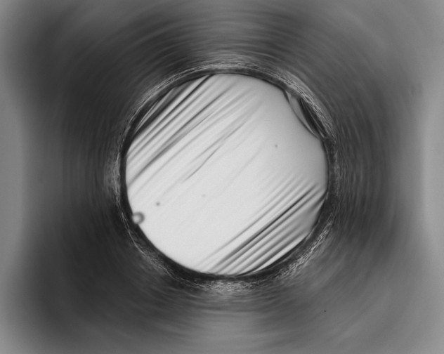 X0000096130842200802151312