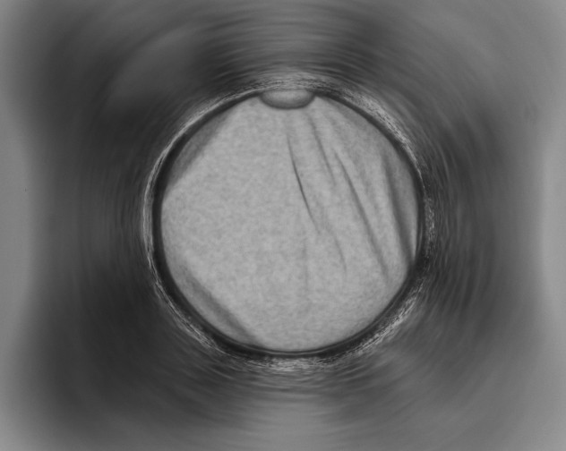 X0000096130843200802151312