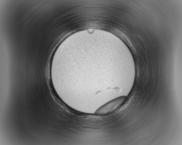 X0000096130844200802151312