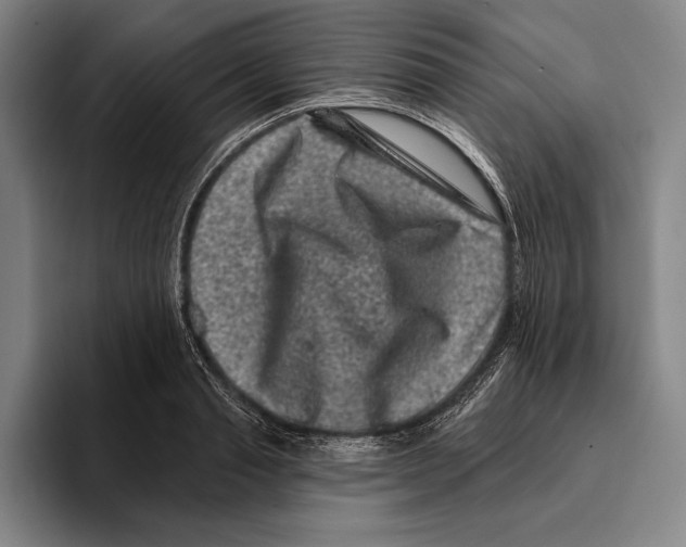 X0000096130845200802151312