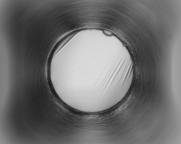 X0000096130846200802151312