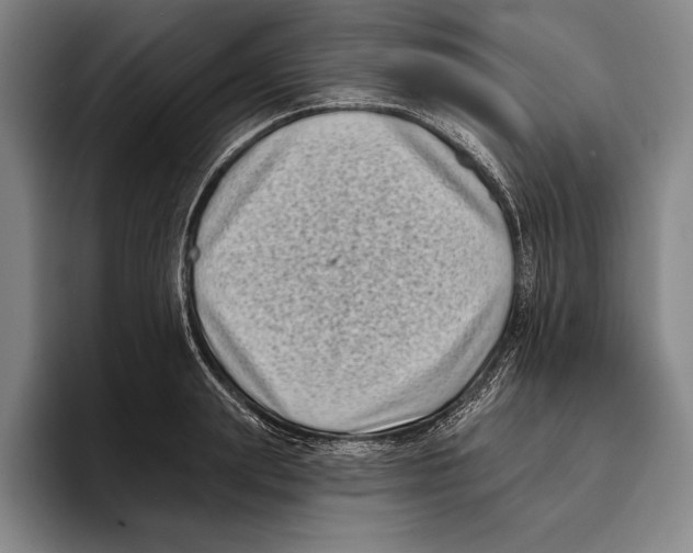 X0000096130847200802151312