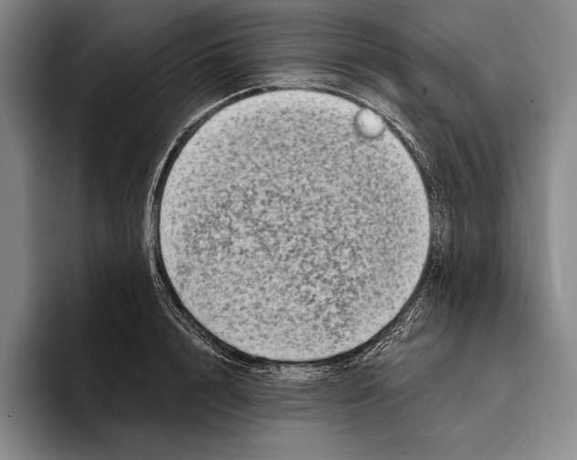 X0000096130848200802151312