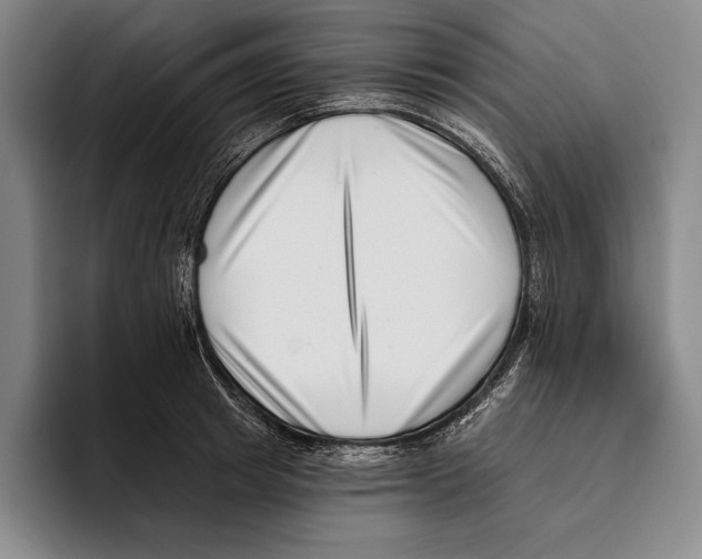 X0000096130849200802151312