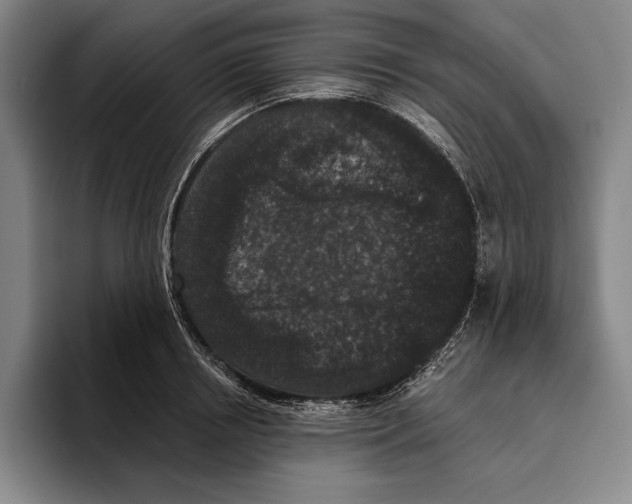 X0000096130850200802151312