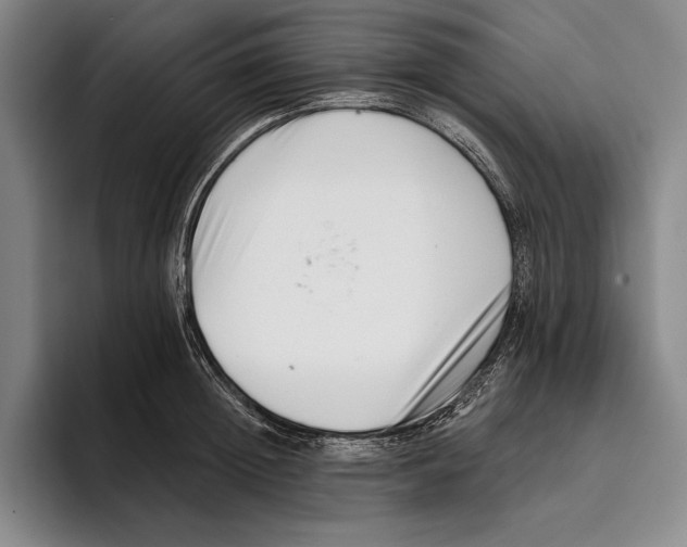 X0000096130852200802151312