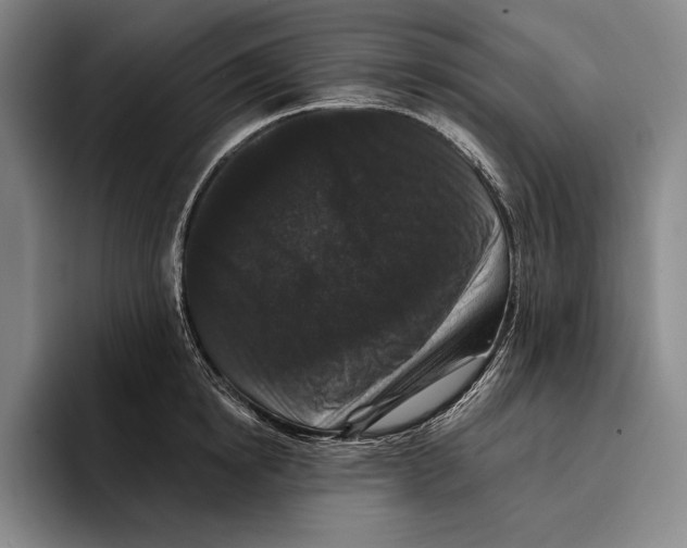 X0000096130854200802151312