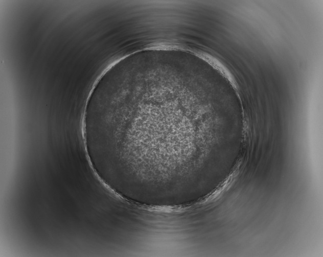 X0000096130855200802151312