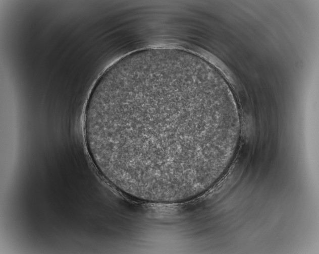 X0000096130856200802151312