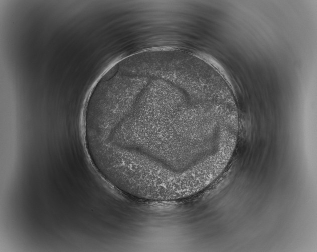 X0000096130859200802151312