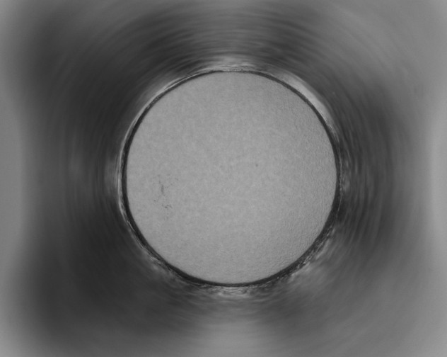 X0000096130861200802151312