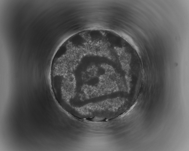 X0000096130863200802151312