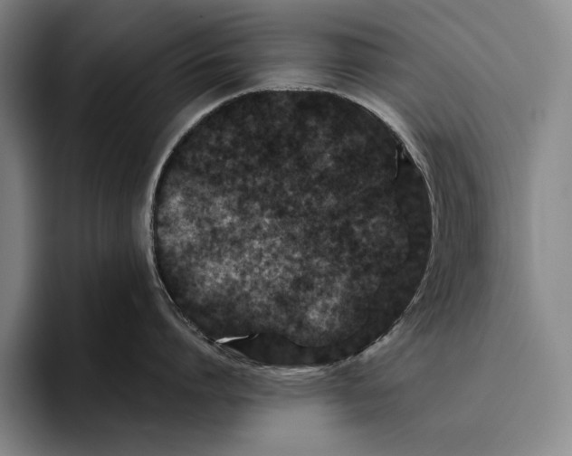 X0000096130864200802151312