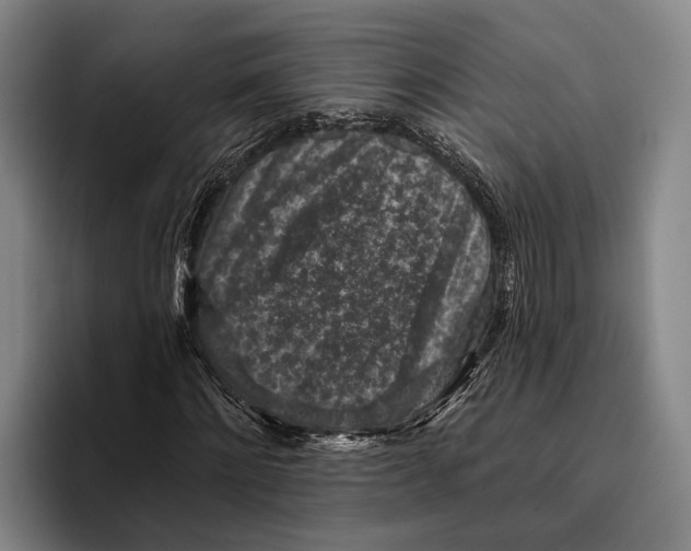 X0000096130868200802151312