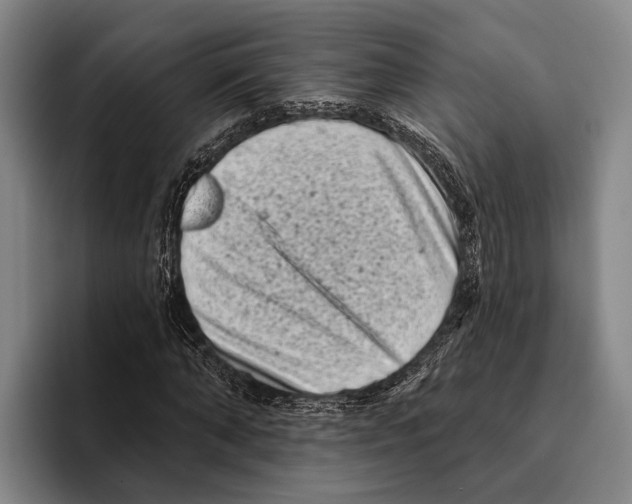 X0000096130870200802151312