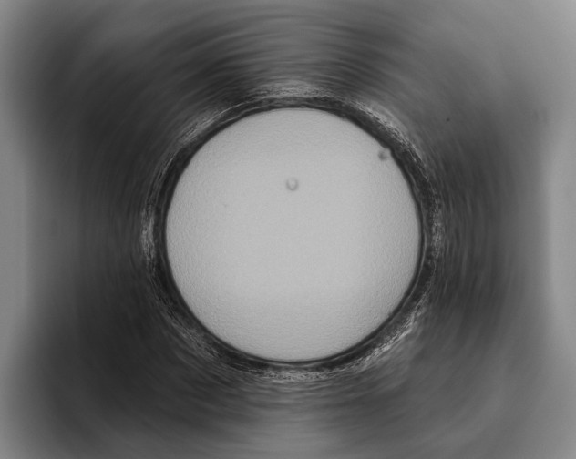 X0000096130873200802151312