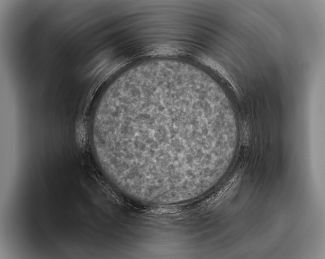 X0000096130874200802151312