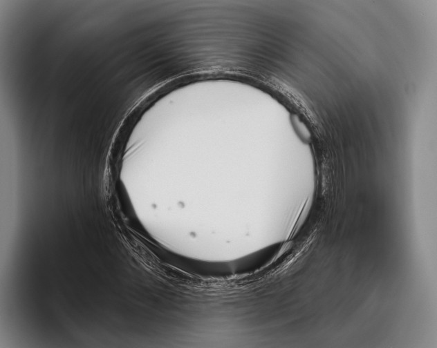 X0000096130876200802151312