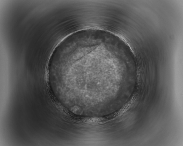 X0000096130879200802151312