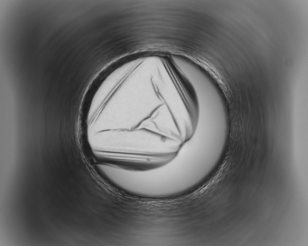 X0000096130880200802151312