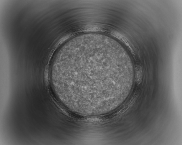 X0000096130882200802151312