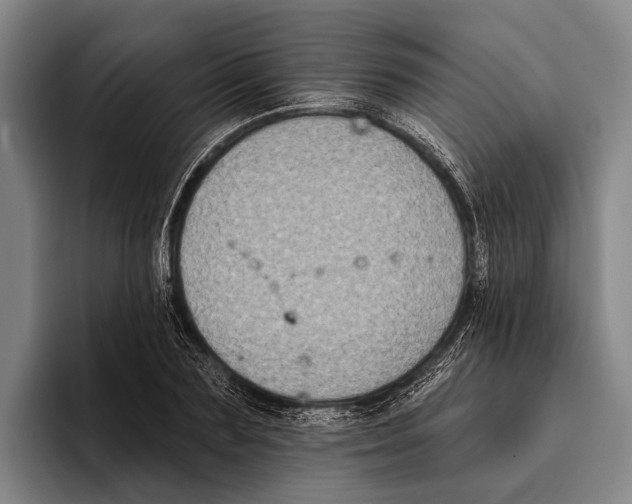 X0000096130883200802151312