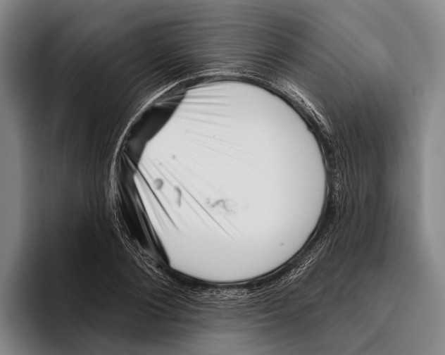 X0000096130884200802151312