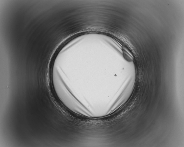 X0000096130888200802151311