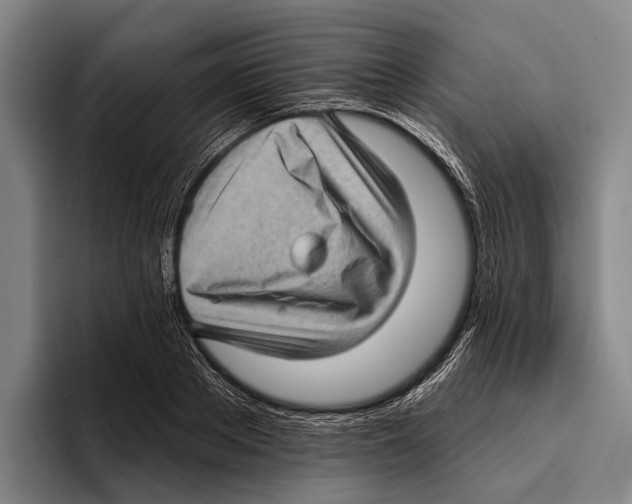 X0000096130889200802151311