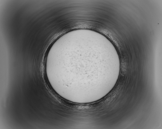 X0000096130890200802151311