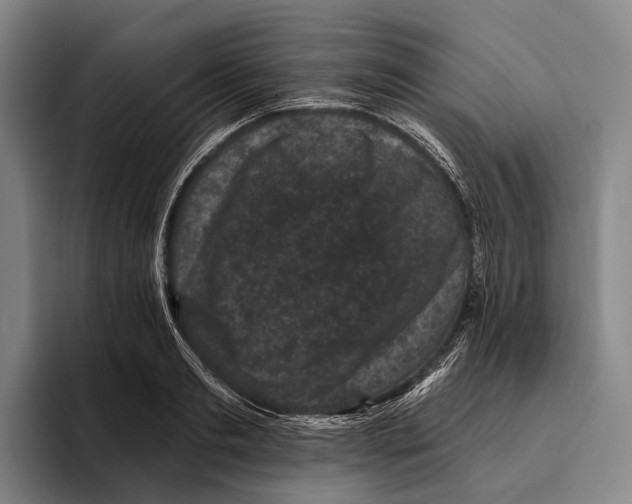 X0000096130893200802151311