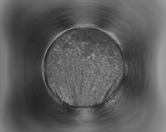 X0000096130895200802151311