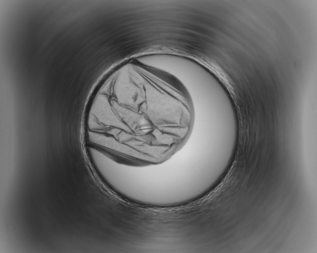 X0000096130896200802151311