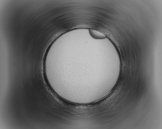 X0000096130898200802151311