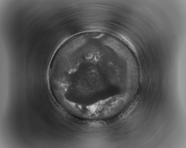 X0000096130899200802151311