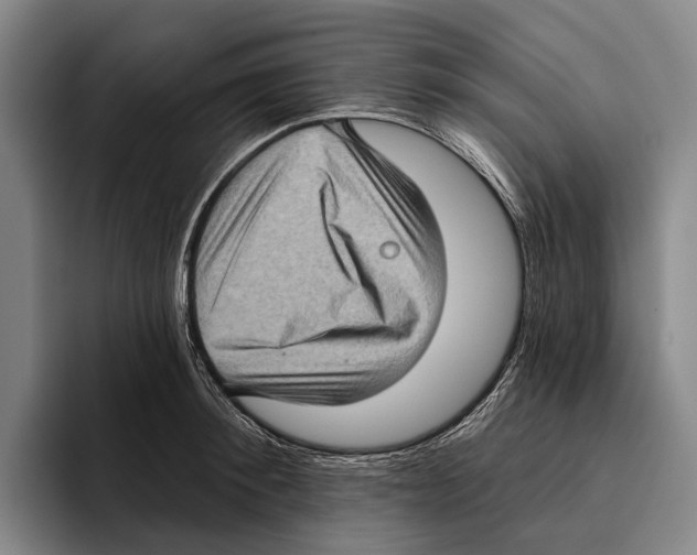 X0000096130900200802151311