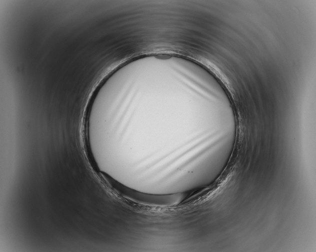 X0000096130901200802151311