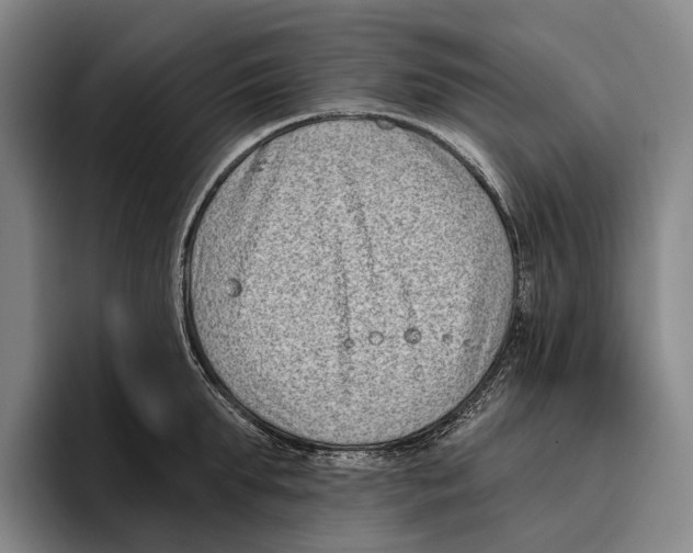 X0000096130903200802151311