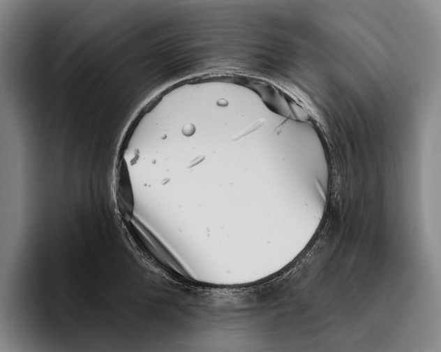 X0000096130904200802151311