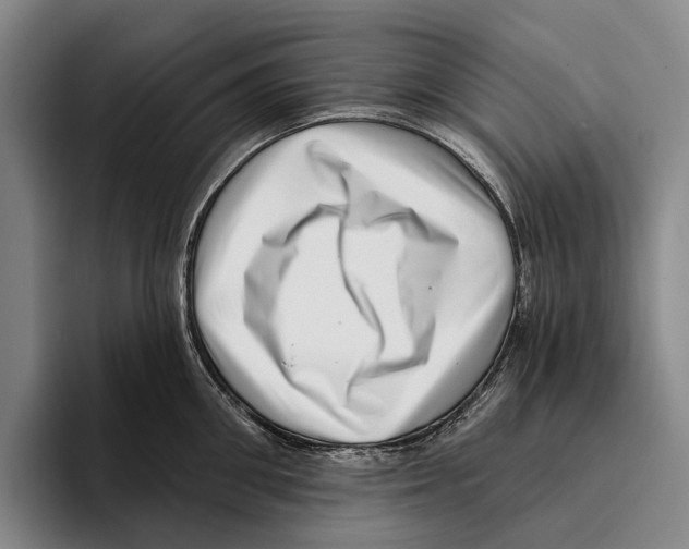 X0000096130906200802151311