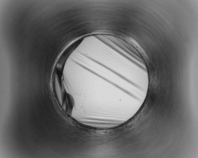 X0000096130908200802151311