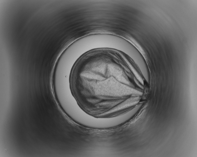 X0000096130909200802151311