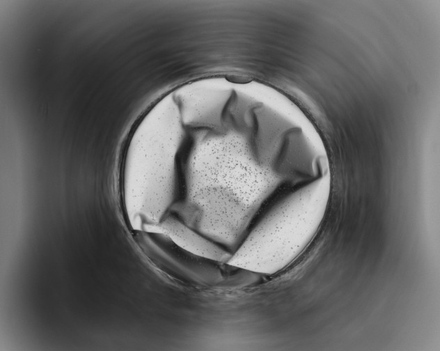 X0000096130910200802151311