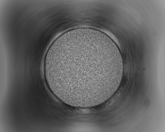 X0000096130911200802151311