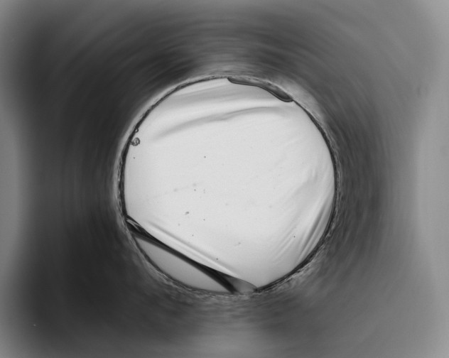 X0000096130912200802151311