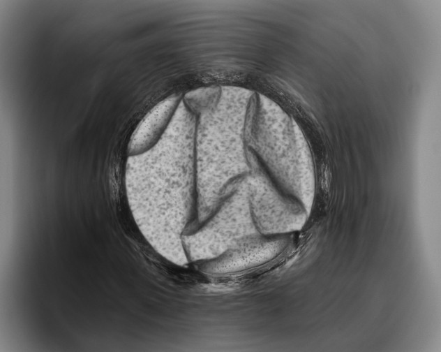 X0000096130915200802151311