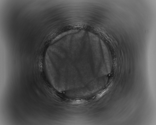 X0000096130916200802151311