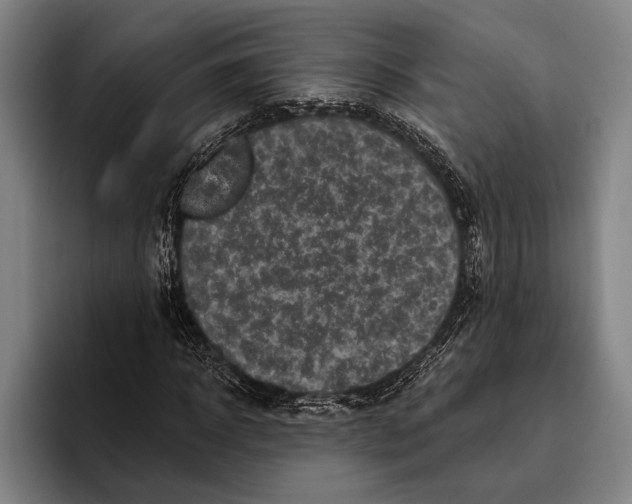 X0000096130918200802151311